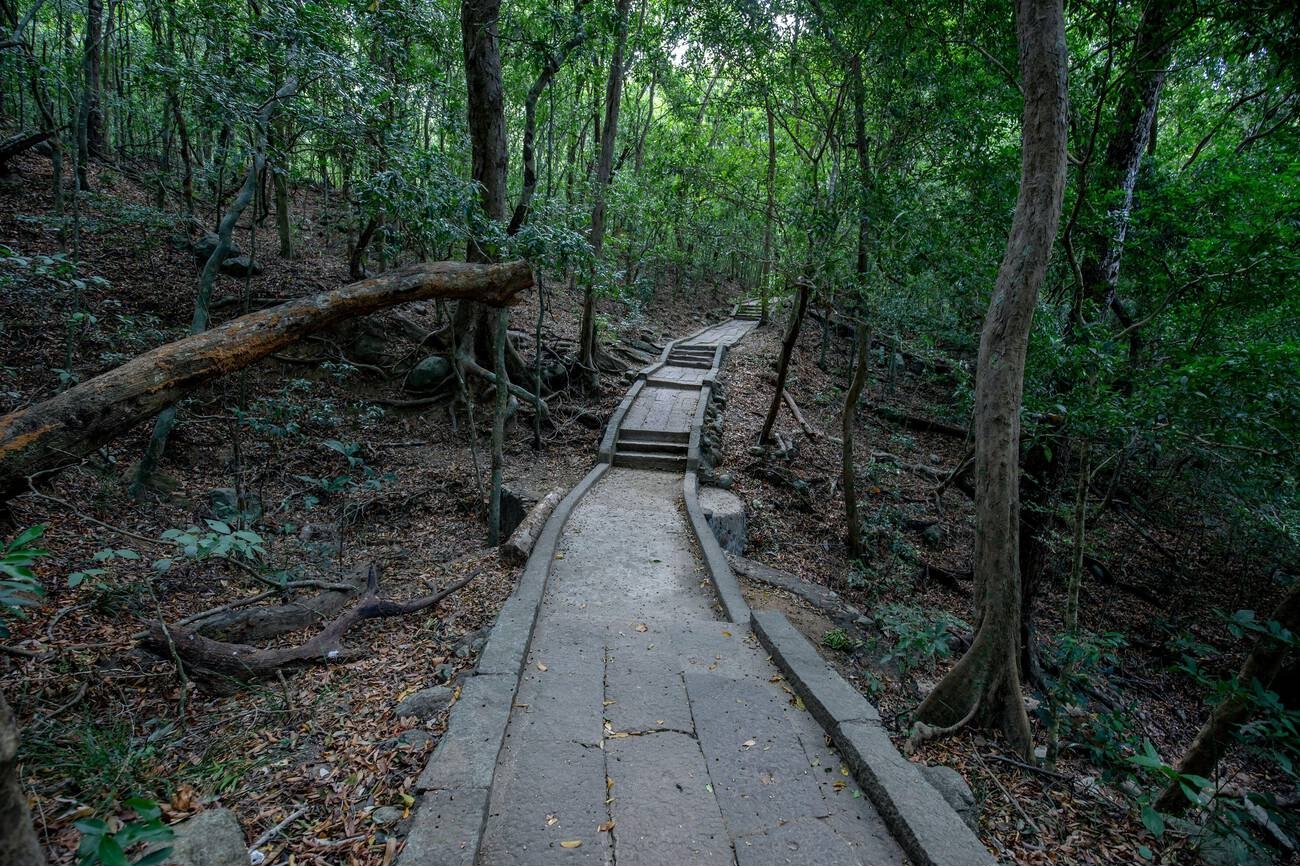 Scenic Wonders of Ceylon 7